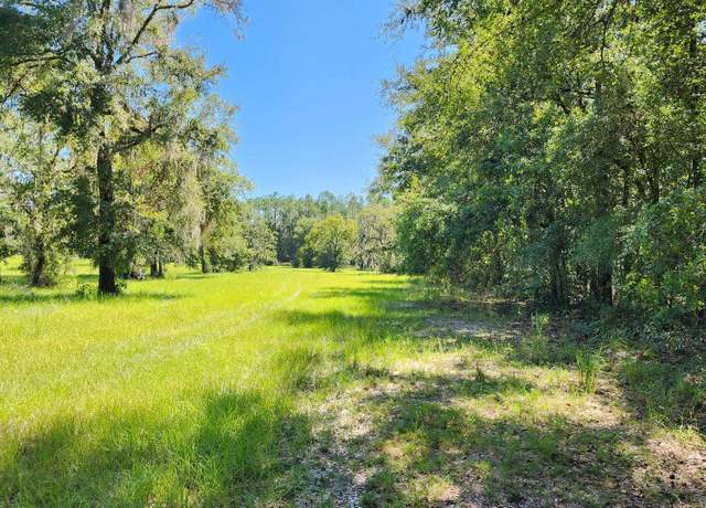 Property at L4B3 73rd Rd, Obrien, FL 32071