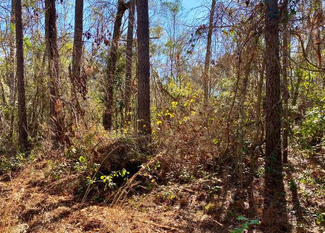 Property at LOT 6 NW Alapaha Woods Way, Jasper, FL 32052