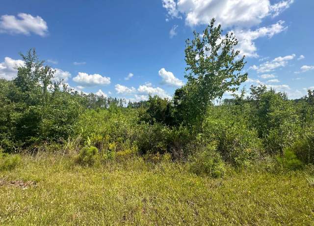 Property at TBD SE Weeks Ln, Lake City, FL 32025