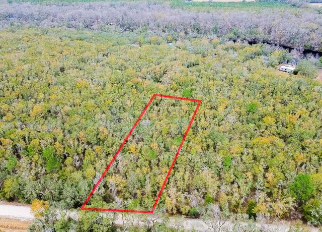Property at 10 NE Tansy Road Lot 1, Mayo, FL 32066