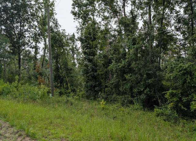 Property at TBD1 NW Pin Oak Ln, Jennings, FL 32053