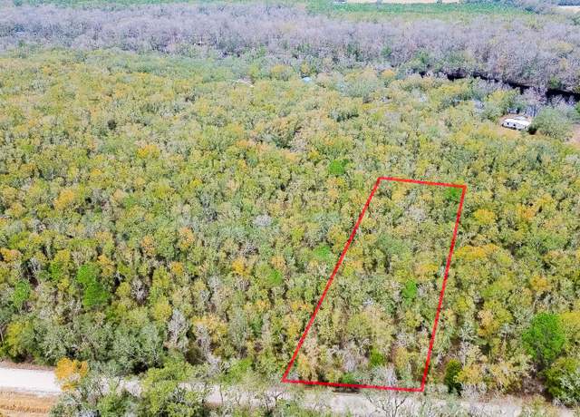Property at 11 NE Tansy Road Lot 2, Mayo, FL 32066