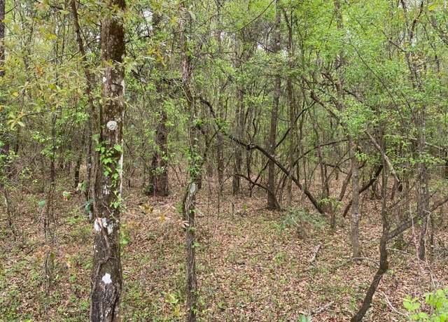 Property at 18 NE Tansy Road Lot 28, Mayo, FL 32066