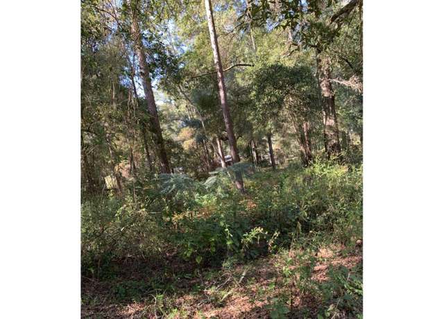 Property at 12 SE Earl Blvd (13,14,15), Branford, FL 32008