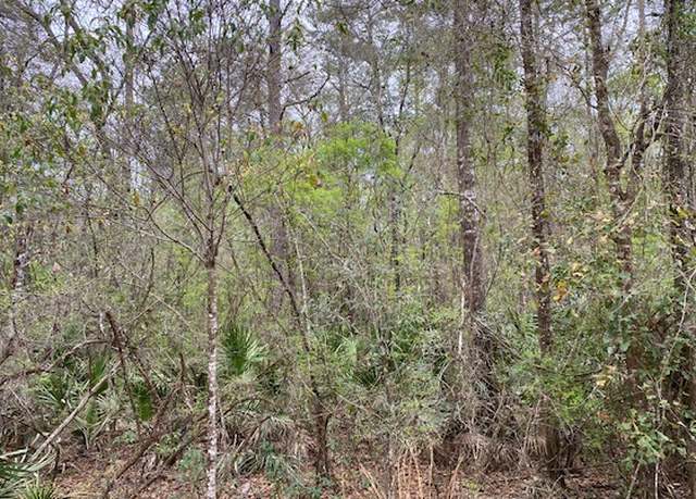 Property at 17 SE Elisha Blvd Lot 55, Branford, FL 32008