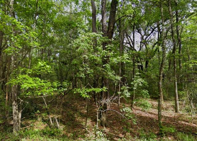 Property at Madison Bluffs Way, Lee, FL 32059