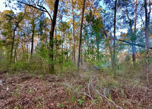Property at NE Inkwood Trl, Lee, FL 32059