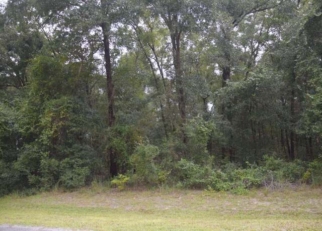 Property at 251 SW Timberland Ct, Lake City, FL 32024