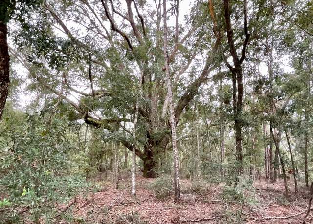 Property at 265 SE Pine Tree Rd, Branford, FL 32008
