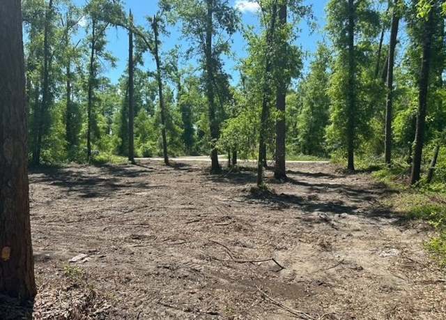 Property at 000 14th Terr, Lot 31, Live Oak, FL 32060