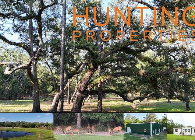 Property at 1003 NW Tiger Drain Rd, White Springs, FL 32096, 3 beds, 2 baths