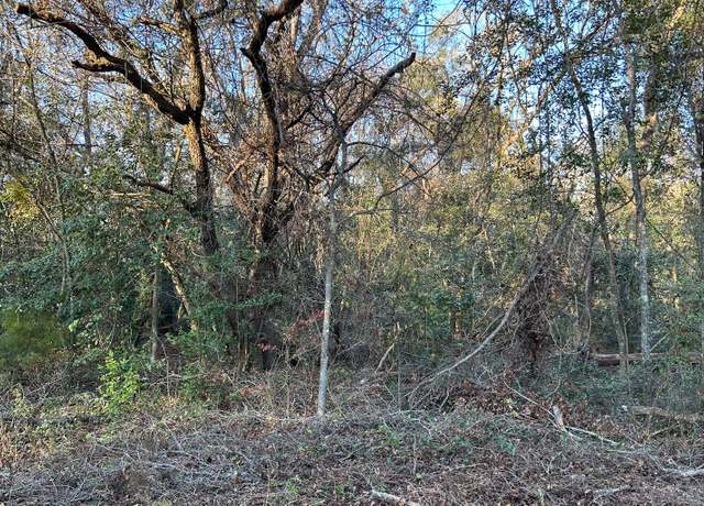 Property at TBD 198th Trc, Live Oak, FL 32060