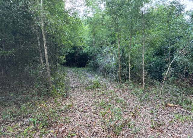 Property at Lake Jeffery Rd, Lake City, FL 32055