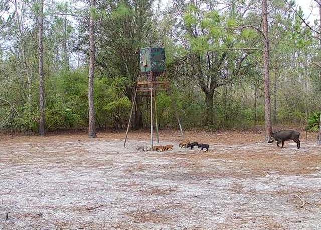 Property at Cat Rd, Lee, FL 32059