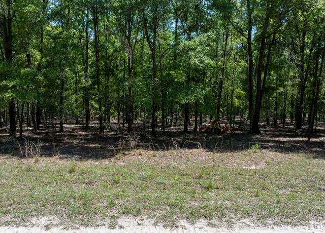 Property at 0 85th Path, Obrien, FL 32071