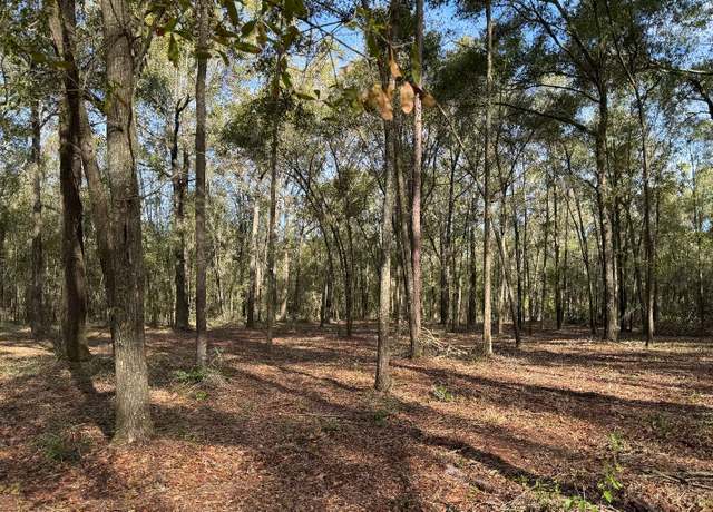 Property at Tbd 216th Ter, Obrien, FL 32071