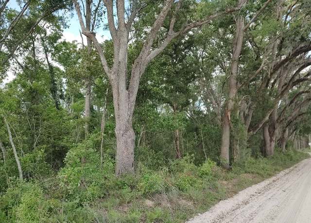 Property at 161st Rd. & 120th St, Live Oak, FL 32060