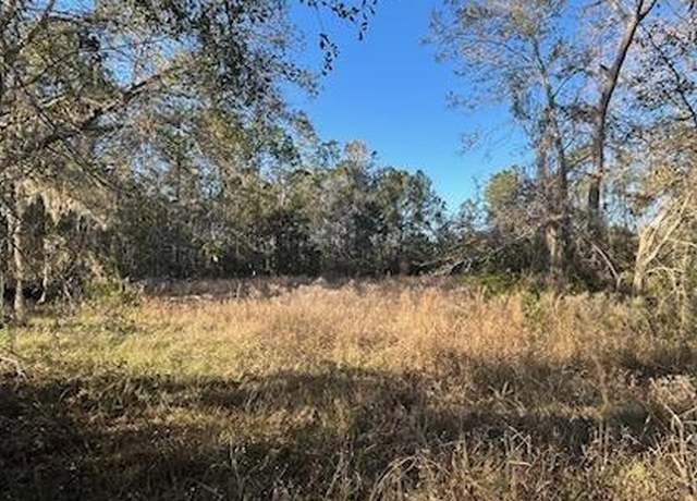 Property at NW Scenic Lake Dr, Lake City, FL 32055