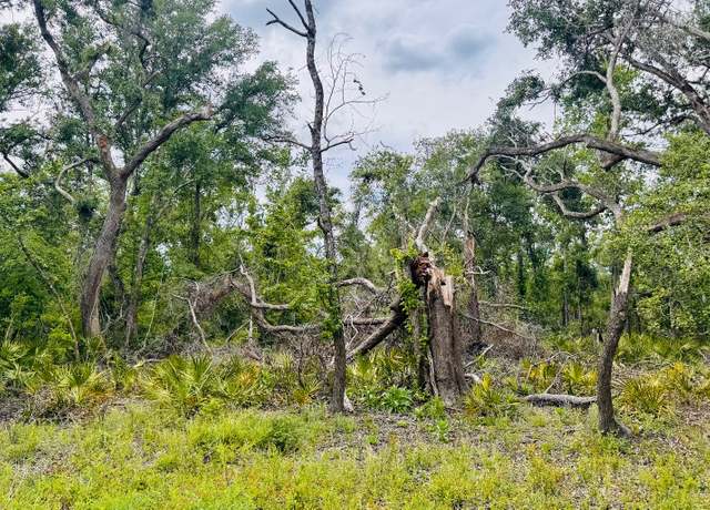 Property at LOT74 NW 22nd Ave, Jasper, FL 32052