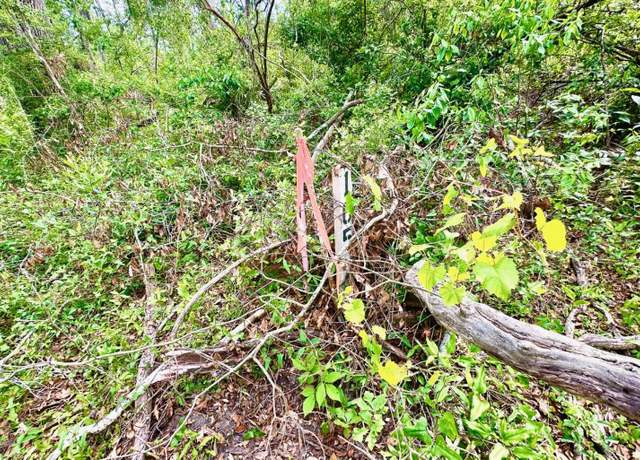 Property at 3 NW Fox Run Trl Lot 105, Mayo, FL 32066