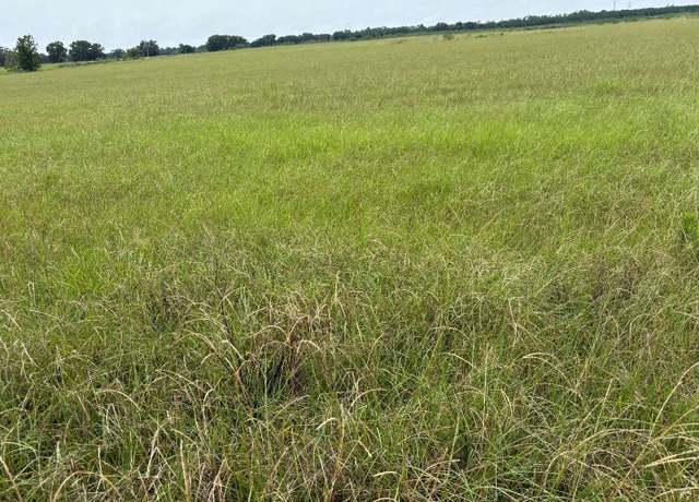 Property at SE Maltese Rd, Mayo, FL 32066