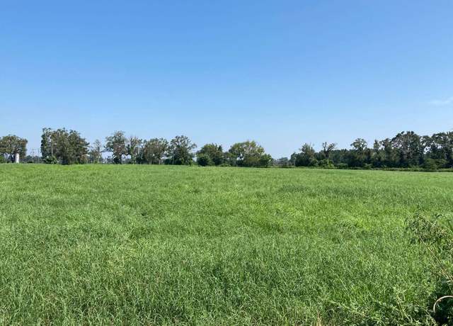 Property at SE Maltese Rd, Mayo, FL 32066