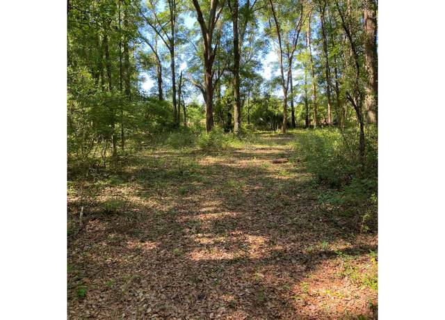 Property at 4 NW West S Drive Lot 127, Mayo, FL 32066