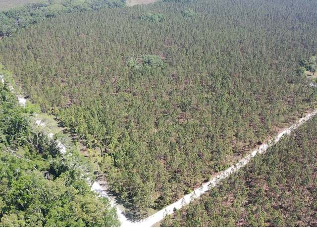 Property at 15941 120th St, Live Oak, FL 32060