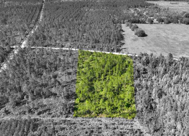 Property at 0 NW Cr 236 (approx 4 Ac), Lake Butler, FL 32054