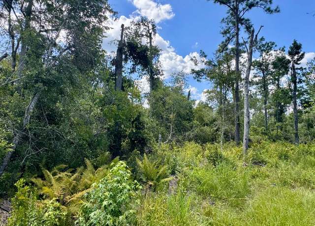 Property at LOT71 NW Cr 152, Jennings, FL 32053