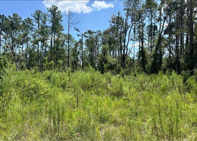 Property at 000 10th Ter, Live Oak, FL 32060