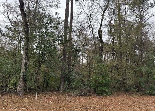 Property at TBD 111th Dr, Obrien, FL 32071