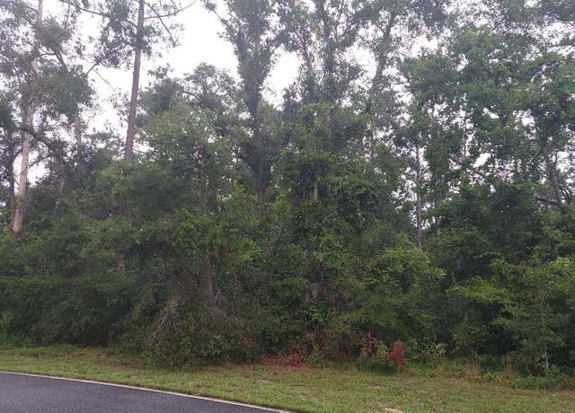 Property at TBD Wildwood Cir- Lot 16, Dowling Park, FL 32064