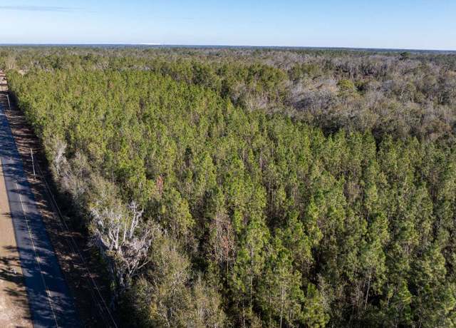 Property at 40AC 89th Rd, Live Oak, FL 32060