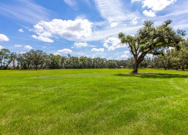 Property at 379 SE Doolittle Trl, Lee, FL 32059