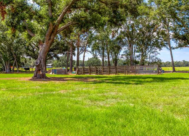 Property at 379 SE Doolittle Trl, Lee, FL 32059