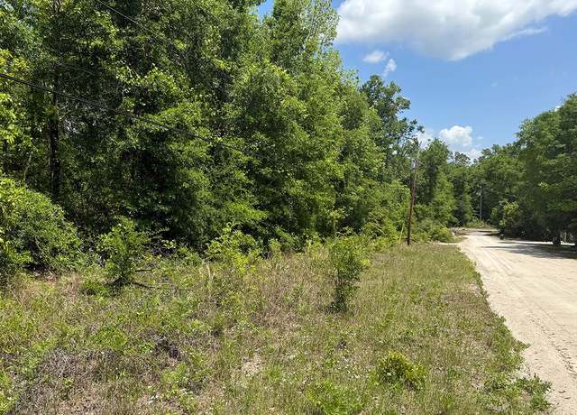 Property at 0 SW Redbud Gln, Fort White, FL 32038