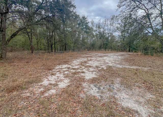 Property at 15502 160th Trce, Mcalpin, FL 32062