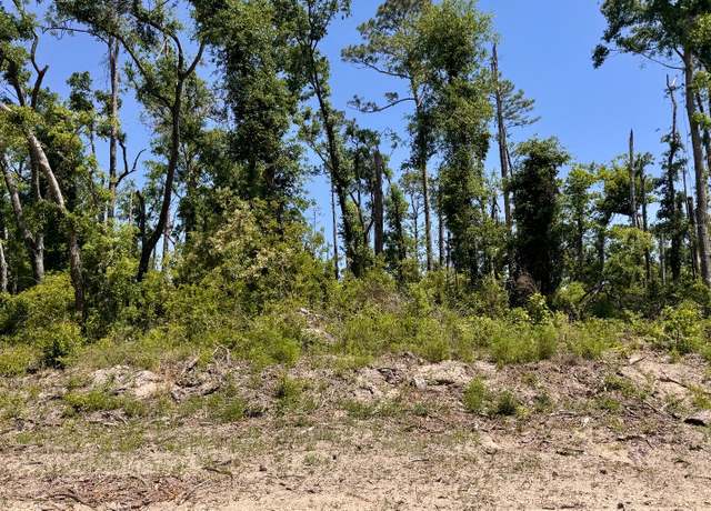 Property at 41&42 237th Rd, Live Oak, FL 32060