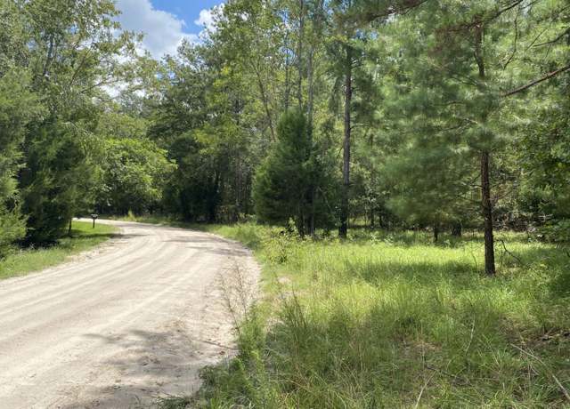 Property at 162nd Ter, Mcalpin, FL 32062