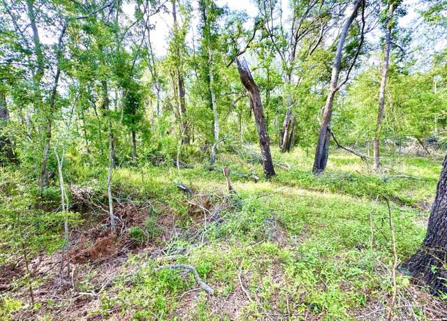 Property at 0 NW Kings Rd, Mayo, FL 32066
