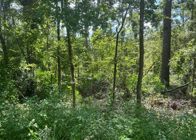 Property at TBD 177th Rd Lots 28-29, Live Oak, FL 32060