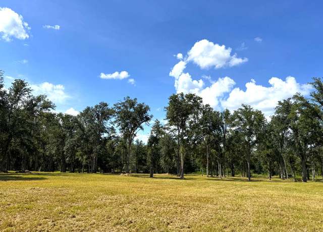 Property at TBD Cr 250, Live Oak, FL 32060
