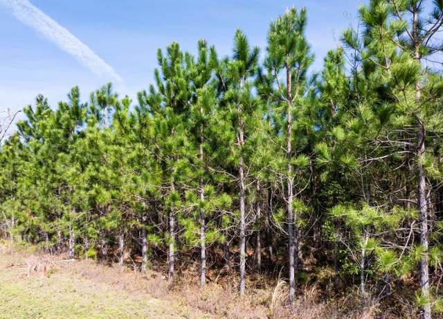 Property at NE Bittersweet Trl, Madison, FL 32340