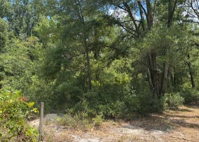 Property at TBD 208th St, Obrien, FL 32071