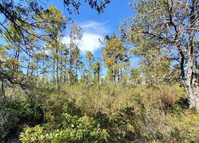 Property at Prine Rd, Lee, FL 32059