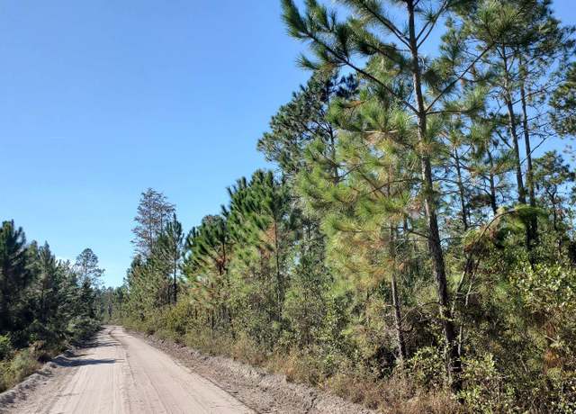 Property at Wire Rd, Lee, FL 32059