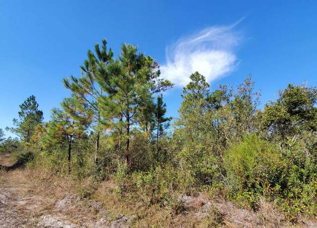 Property at Brown Rd, Lee, FL 32059