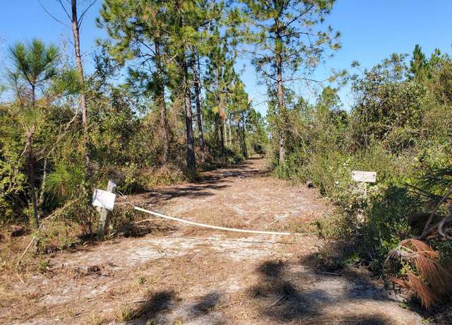 Property at County Line Rd, Lee, FL 32059