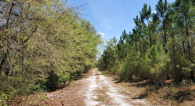 Photo of Mad 18 And Camp P Rd, FL 32340
